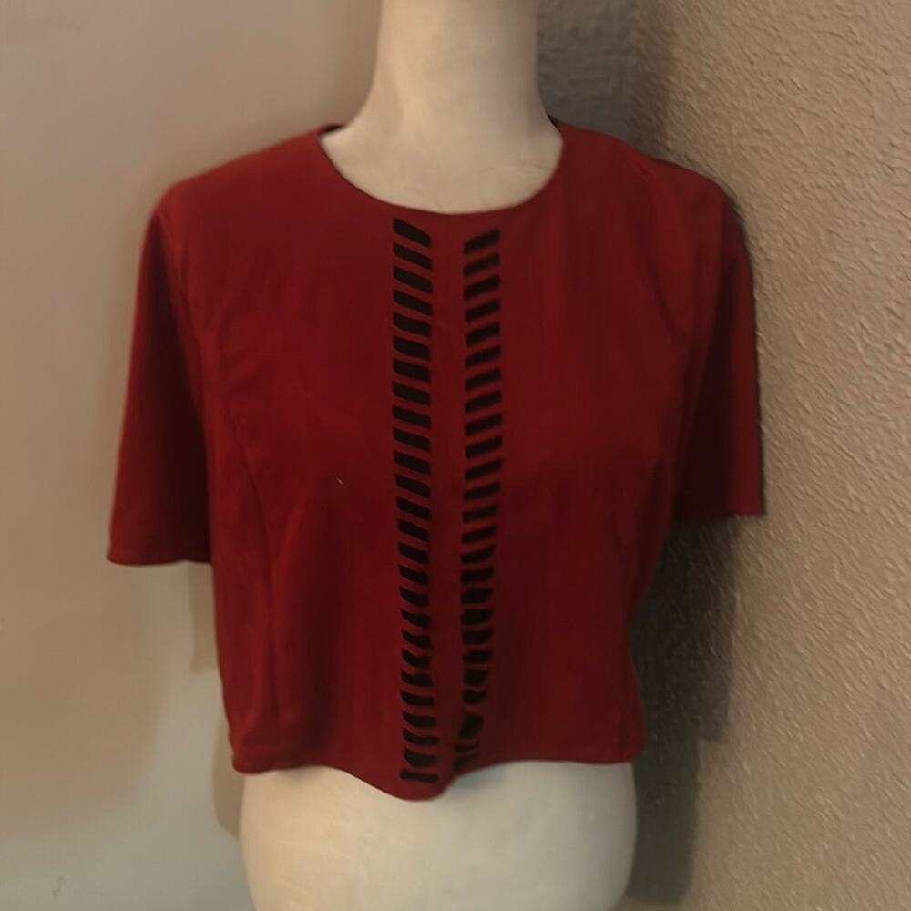 Blush Noir Crimson Faux Suede Crop Top L Cutout Design Fall Rocker Casual Rave